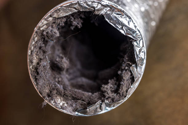 Best Dryer Vent Cleaning Services  in Wren, AR