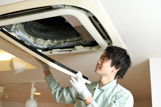 Best Professional Duct Cleaning Services  in Wren, AR