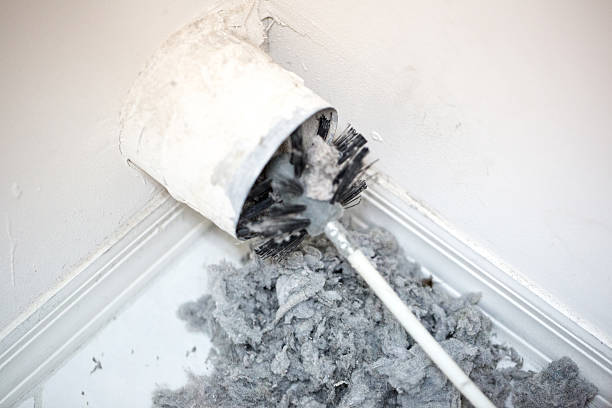 Best Home Air Vent Cleaning  in Wren, AR