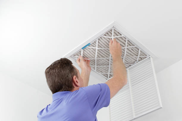 Best Air Vent Cleaning Services  in Wren, AR